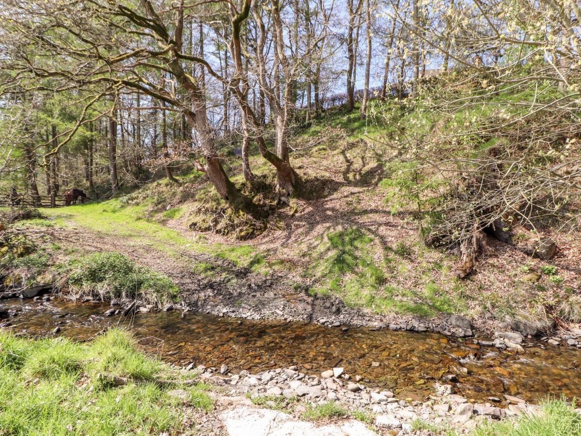 Nant Y Celyn Villa Ruthin Eksteriør billede