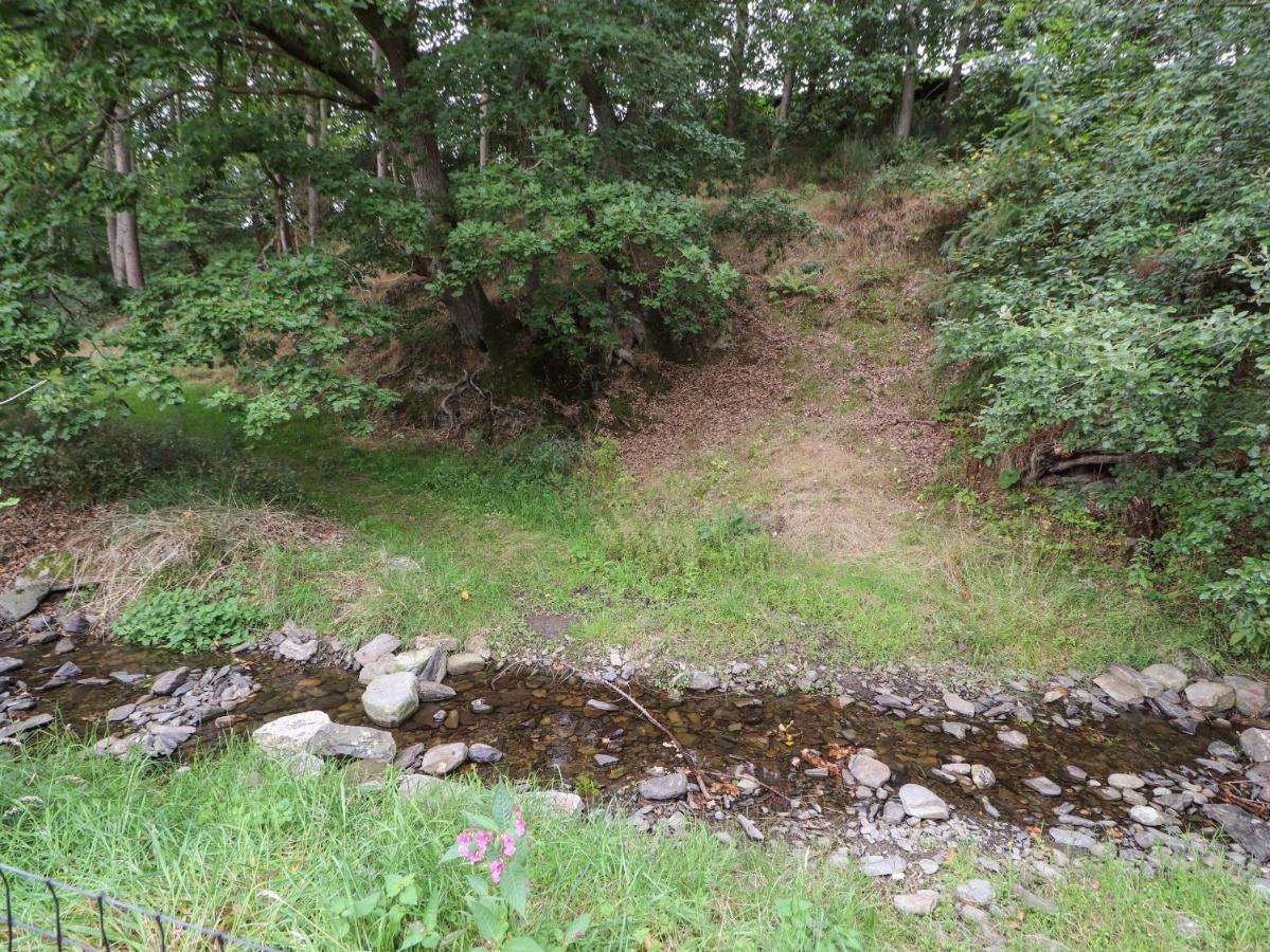 Nant Y Celyn Villa Ruthin Eksteriør billede